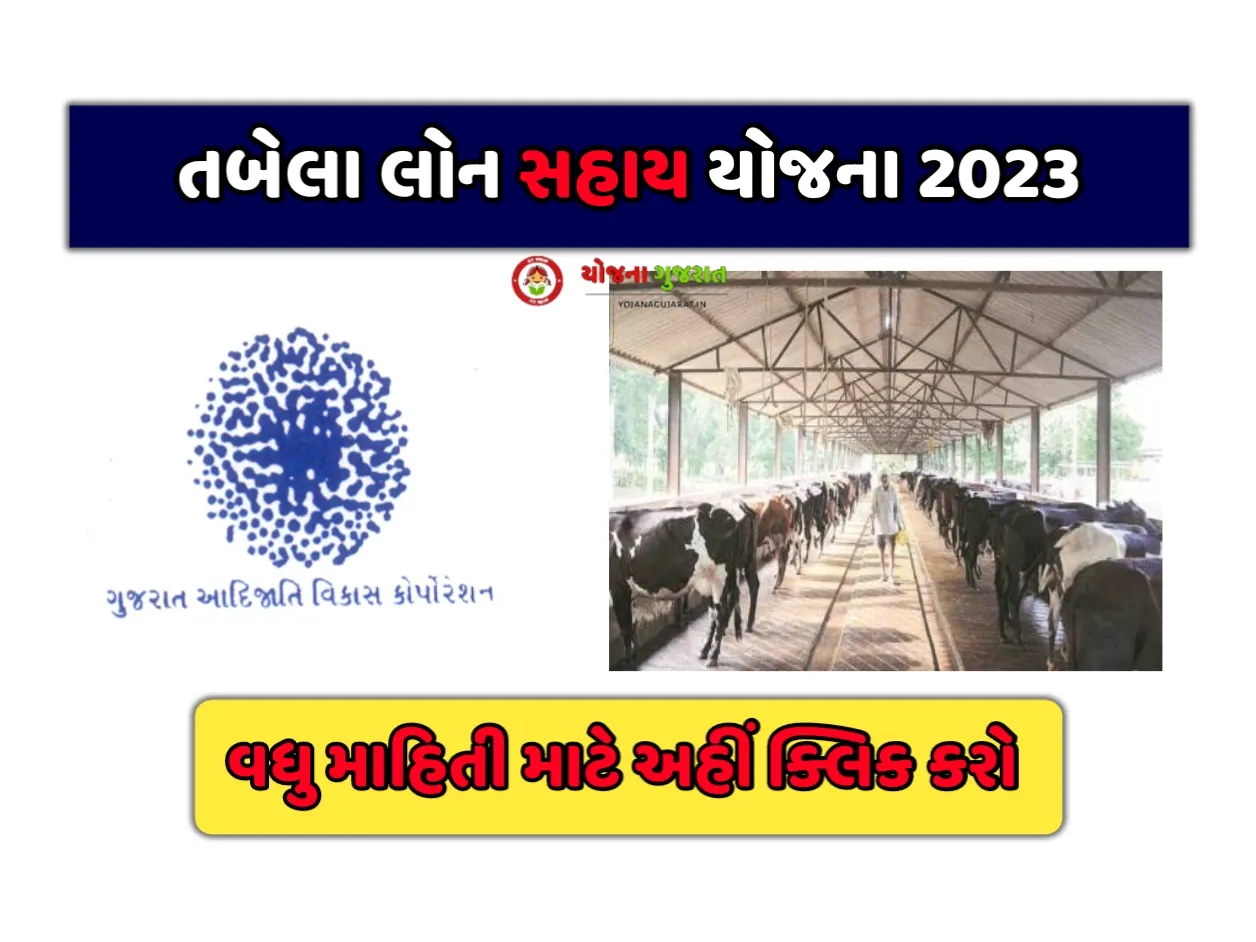 Tabela Loan Sahay Yojana Gujarat:તબેલા લોન સહાય યોજના 2023