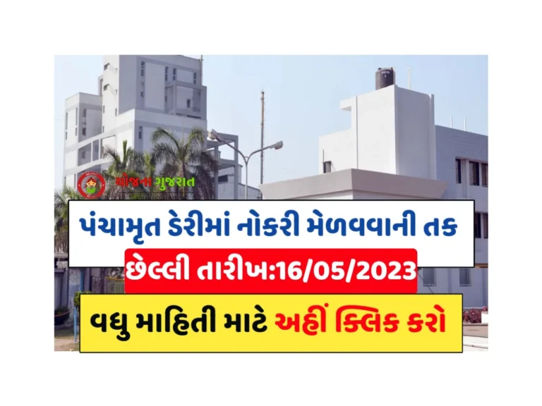 Panchamrut Dairy Recruitment 2023: પંચામૃત ડેરીમાં અલગ અલગ જગ્યા પર ભરતી