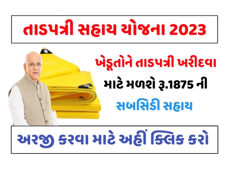 Tadpatri Sahay Yojana 2023: તાડપત્રી સહાય યોજના, જાણો સંપૂર્ણ માહિતી