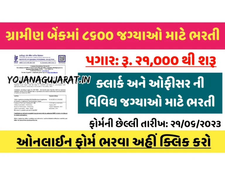 IBPS Recruitment 2023: દેશની અલગ અલગ બેંકોમાં 8500+ જગ્યાઓ પર વર્ષની સૌથી મોટી ભરતી