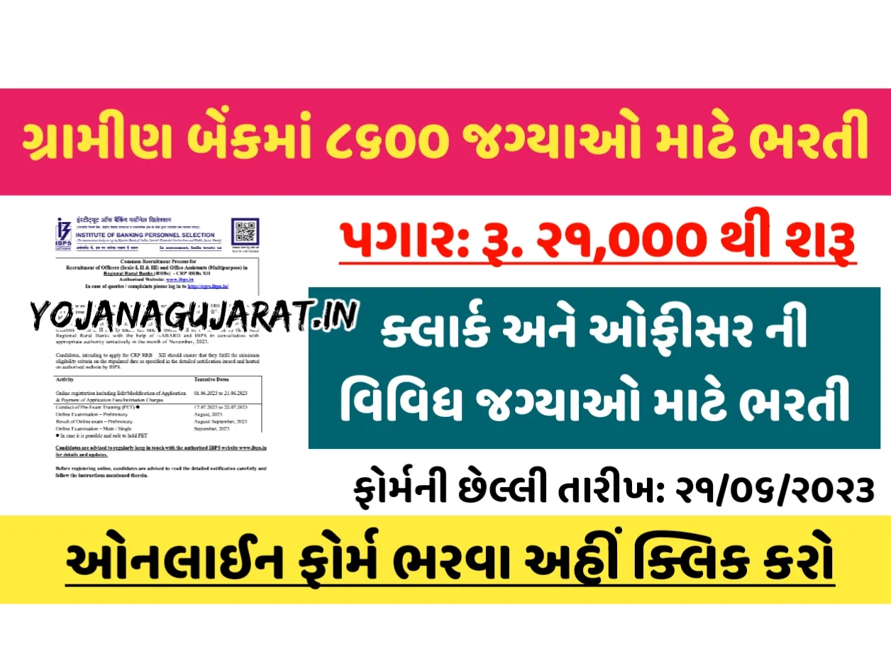 IBPS Recruitment 2023: દેશની અલગ અલગ બેંકોમાં 8500+ જગ્યાઓ પર વર્ષની સૌથી મોટી ભરતી