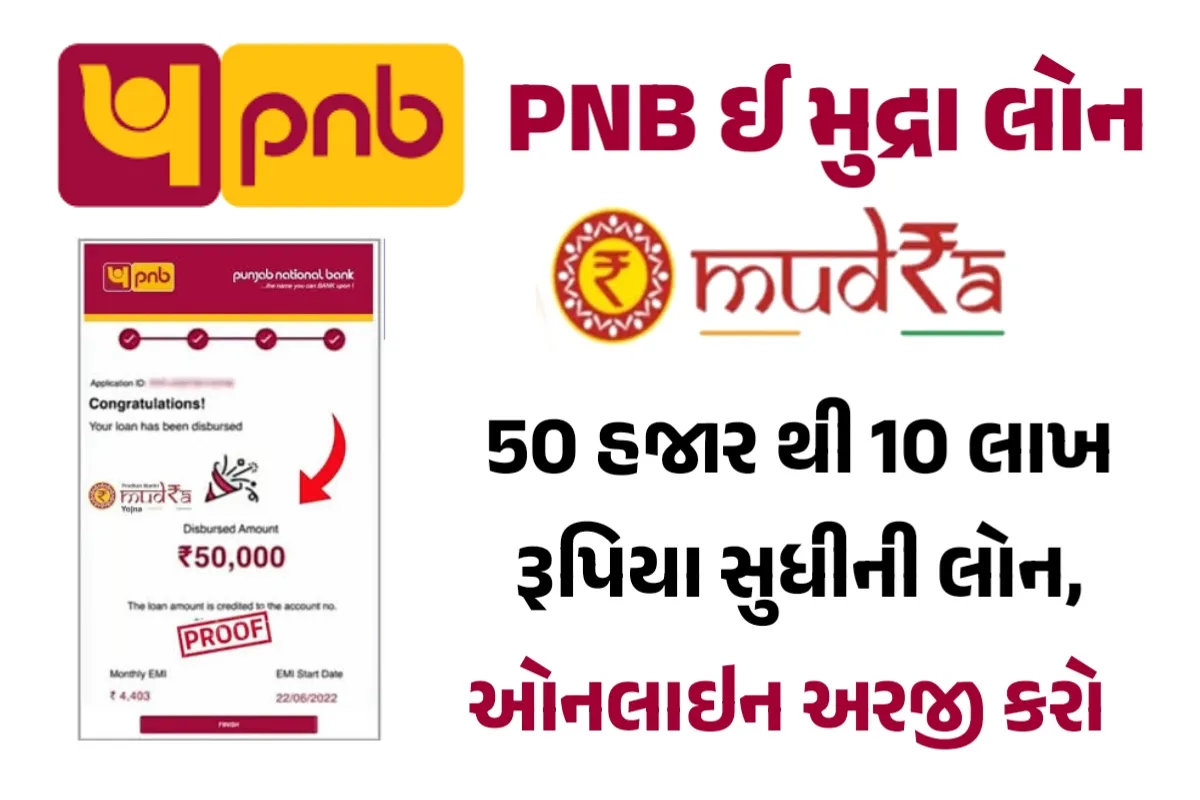 PNB E Mudra Loan